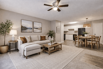 Open-concept living spaces